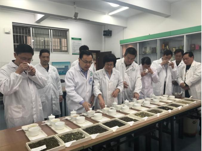 瀟湘茶業(yè)開展花茶審評和座談會，劉仲華院士等專家共謀花茶產(chǎn)業(yè)發(fā)展