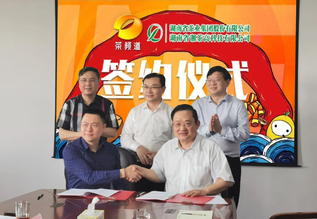 院士見證，輕輕茶發(fā)力品牌建設，與茶頻道達成深度合作