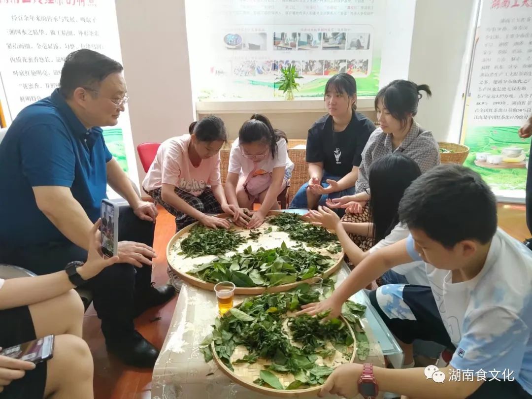 原載人民日?qǐng)?bào)“人民視點(diǎn)”茶葉是怎樣做出來(lái)的？湖南大、中、小學(xué)生體驗(yàn)湖南工夫紅茶制作